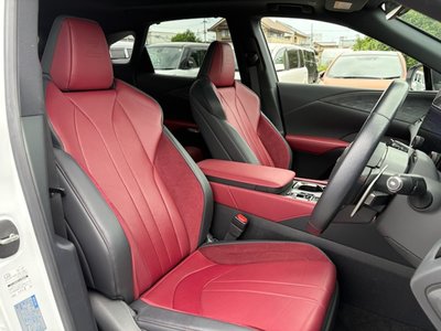 LEXUS RX - 10