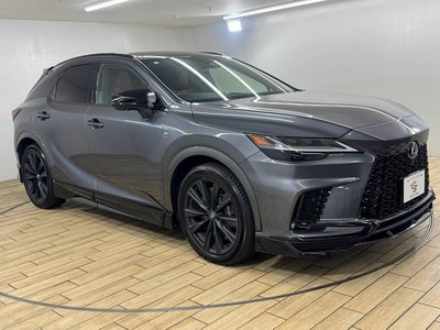 صورة مصغرة 73 لـ 2023 Lexus RX