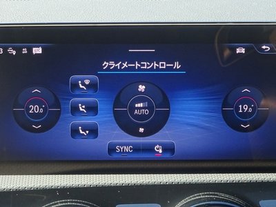 2025 Mercedes-BENZ A-CLASS AMG 缩略图 19