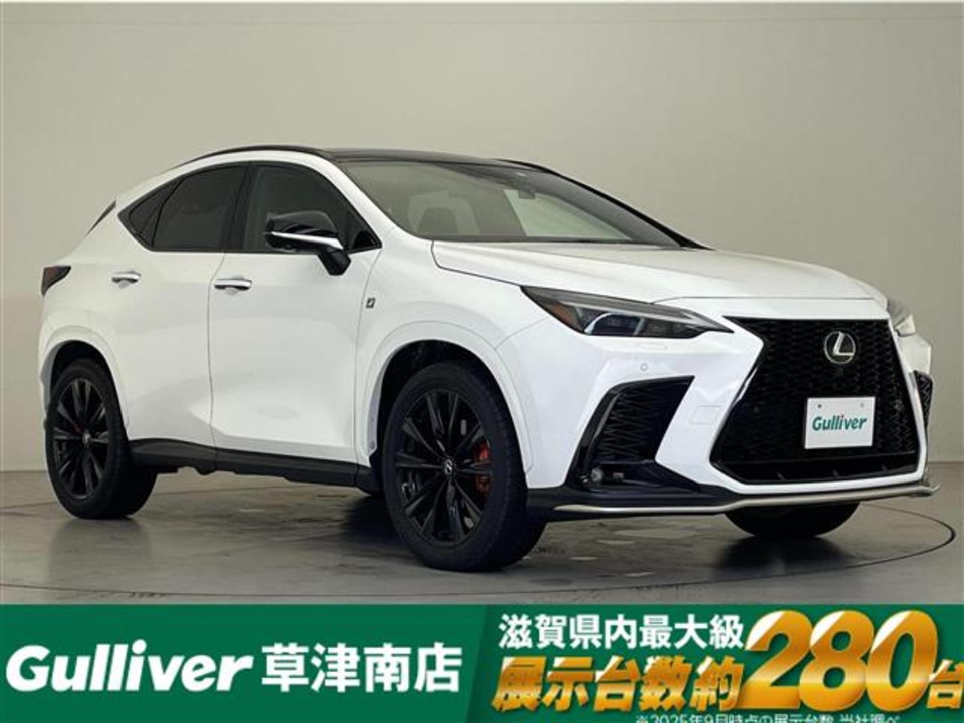 LEXUS NX - View 1