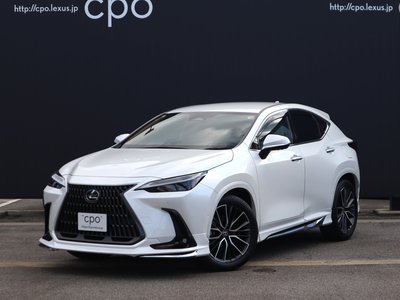 LEXUS NX - 1