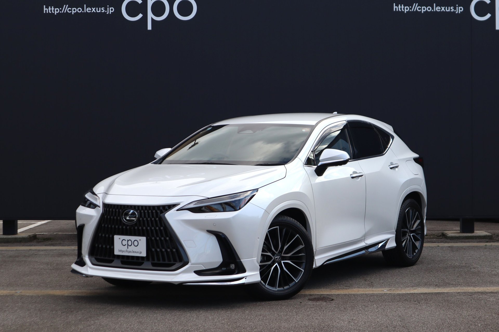 LEXUS NX - View 1