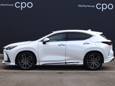 LEXUS NX - 3