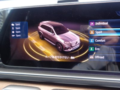 2025 Mercedes-BENZ GLS — миниатюра 51