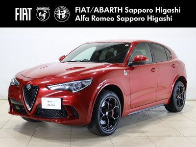 2019 ALFA Romeo STELVIO 照片 1