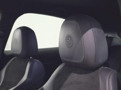 2019 ALFA Romeo STELVIO 照片 10