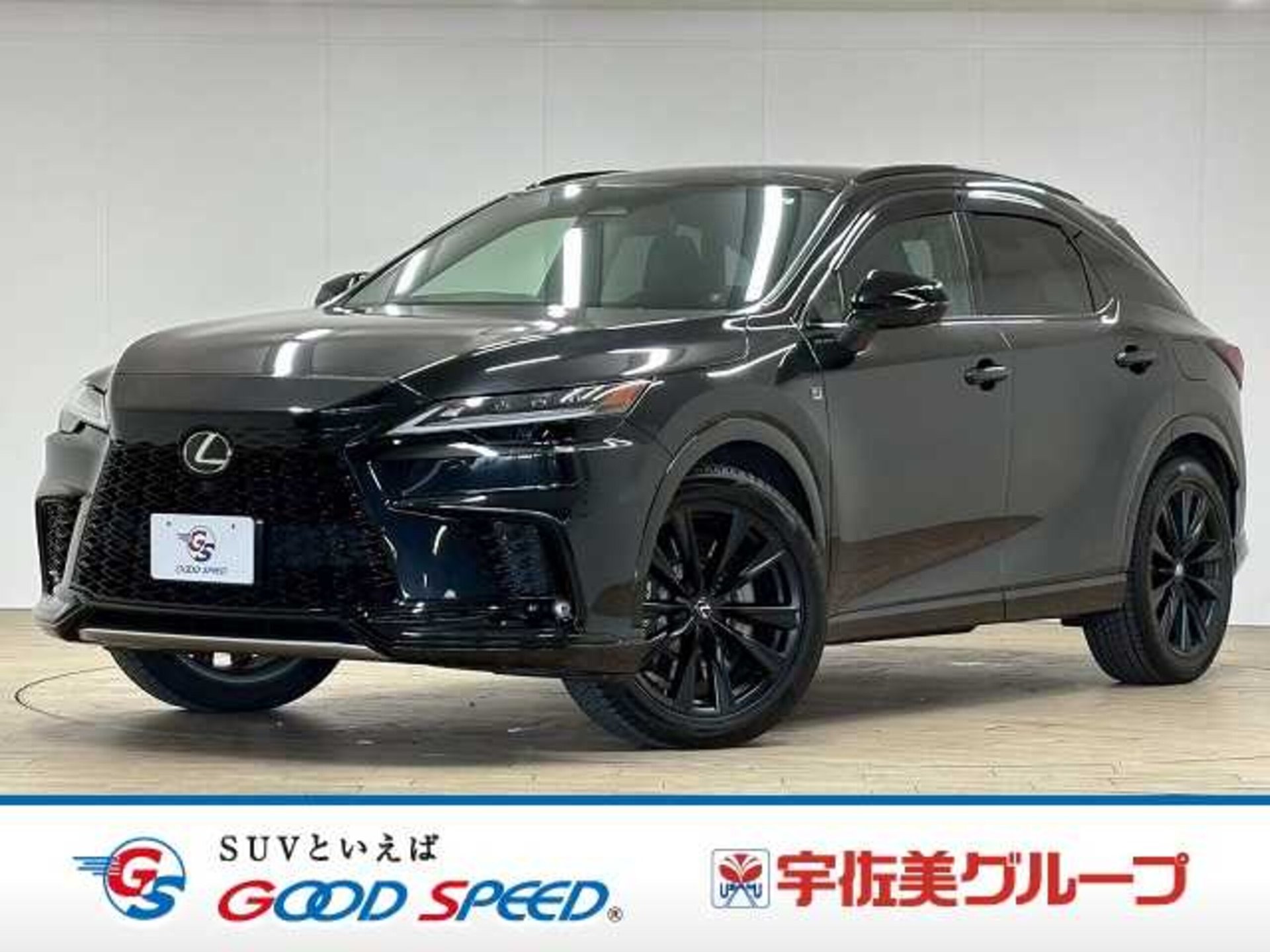 LEXUS RX - View 1