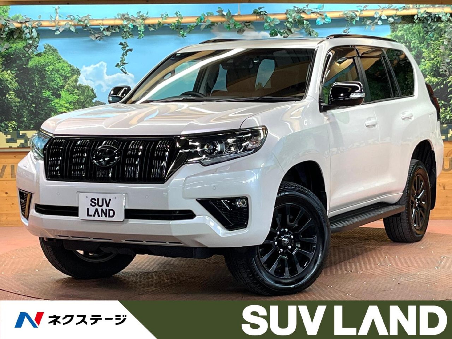 TOYOTA LAND CRUISER PRADO - View 1