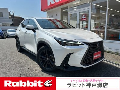 LEXUS NX - 1