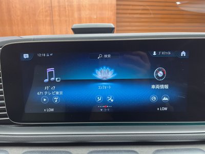 2020 Mercedes-BENZ GLE 缩略图 12