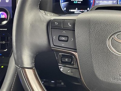 2024 TOYOTA ALPHARD 缩略图 13
