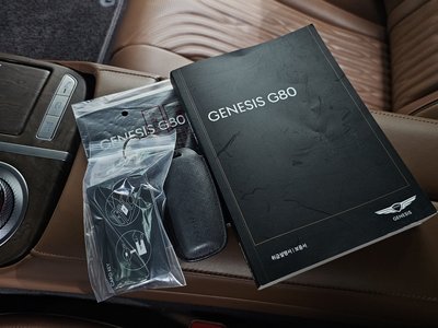 2020 Genesis G80 (RG3) 缩略图 19
