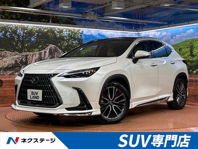 LEXUS NX - 1