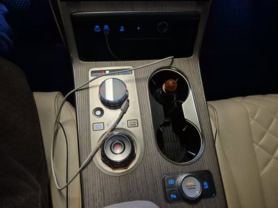GENESIS GV80 - 10