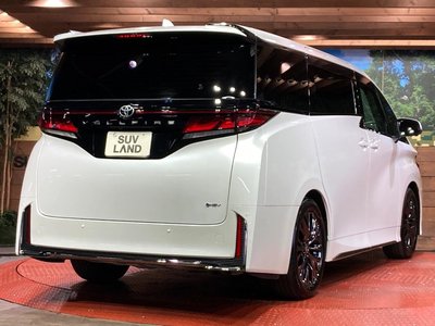 2025 Toyota VELLFIRE 缩略图 17