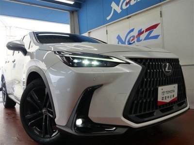 2023 Lexus NX — миниатюра 18