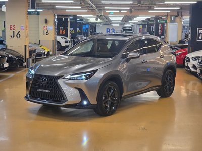 LEXUS NX - 1
