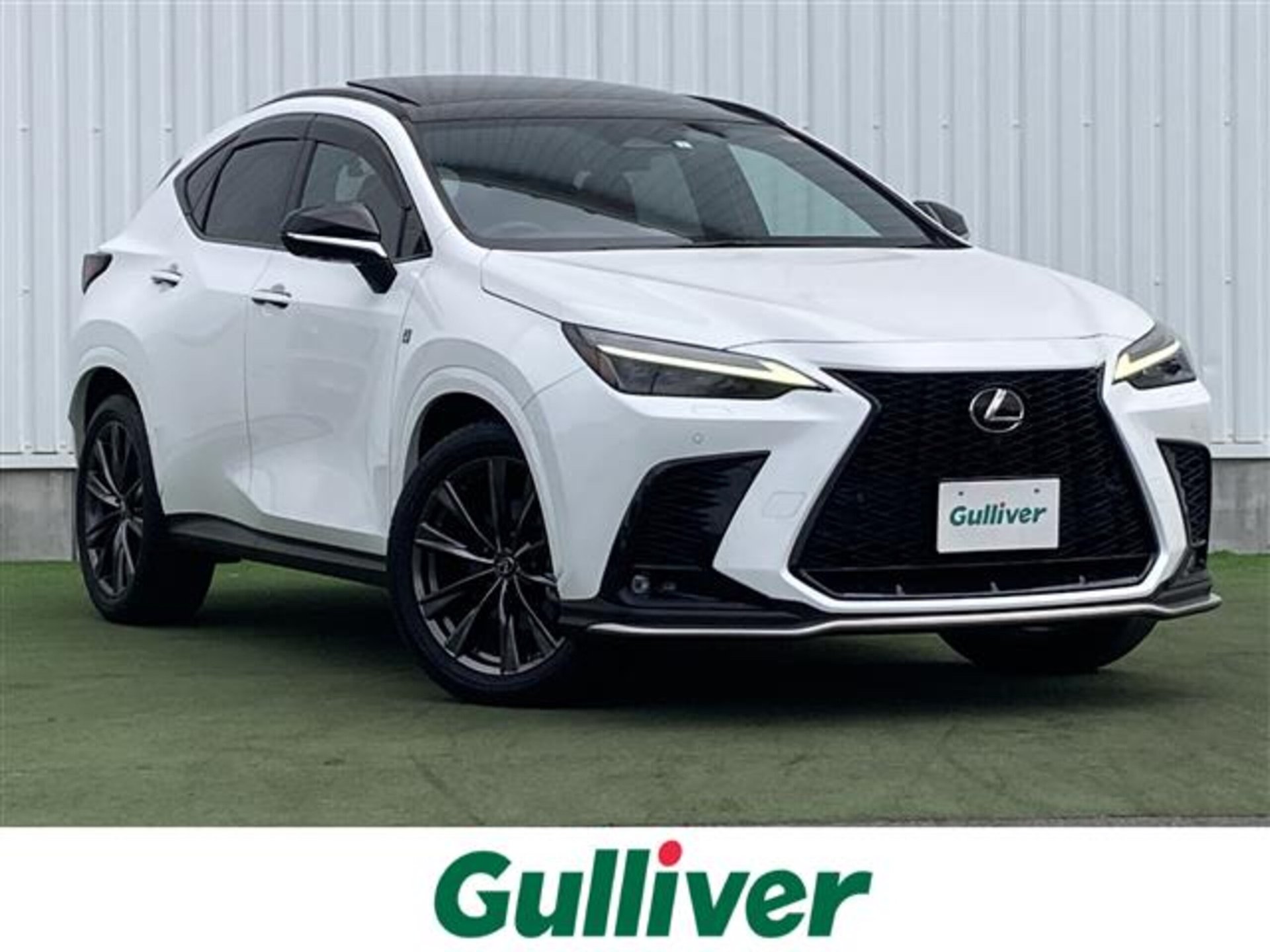 LEXUS NX - View 1