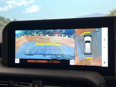 TOYOTA LAND CRUISER 250 - 4