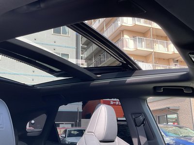 2024 Lexus RX 缩略图 52