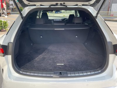 2024 Lexus RX 缩略图 22