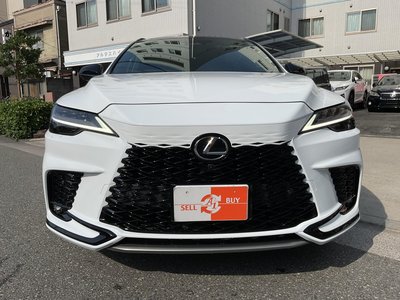 2024 Lexus RX — фото 10