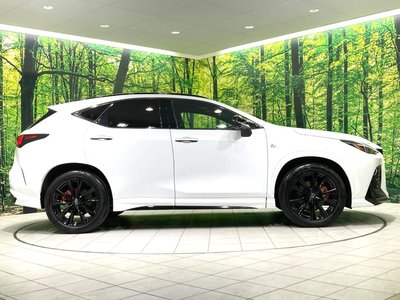 2023 Lexus NX — миниатюра 77