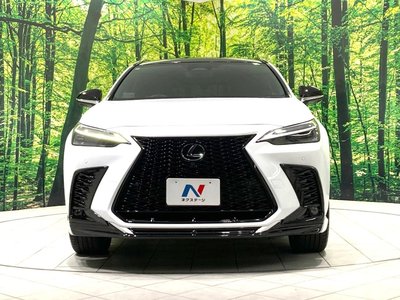 2023 Lexus NX — миниатюра 14