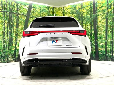 2023 Lexus NX — миниатюра 15