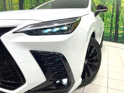 2023 Lexus NX — миниатюра 12
