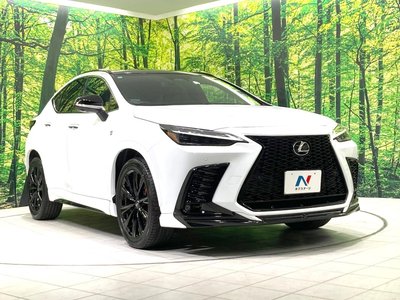 2023 Lexus NX — миниатюра 16