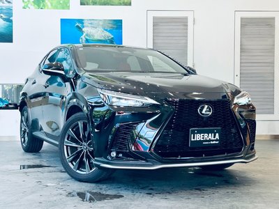 LEXUS NX - 4