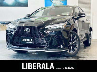 LEXUS NX - 1