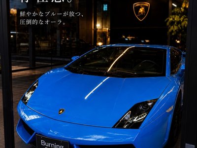 2009 Lamborghini GALLARDO — миниатюра 45
