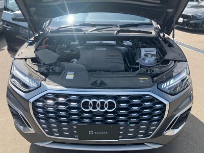2024 AUDI Q5 SPORTBACK 缩略图 64