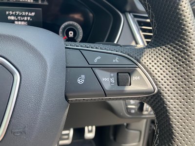 2024 AUDI Q5 SPORTBACK 缩略图 29