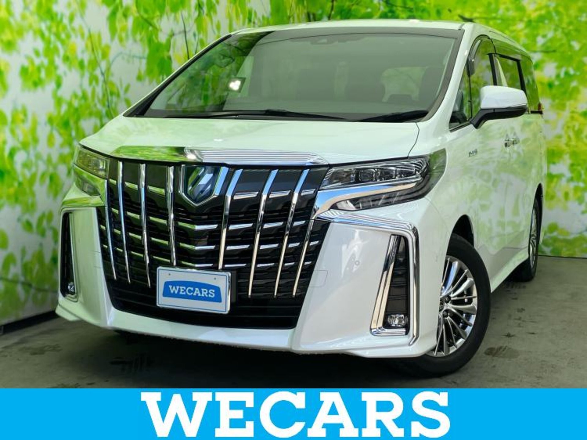 TOYOTA ALPHARD - View 1