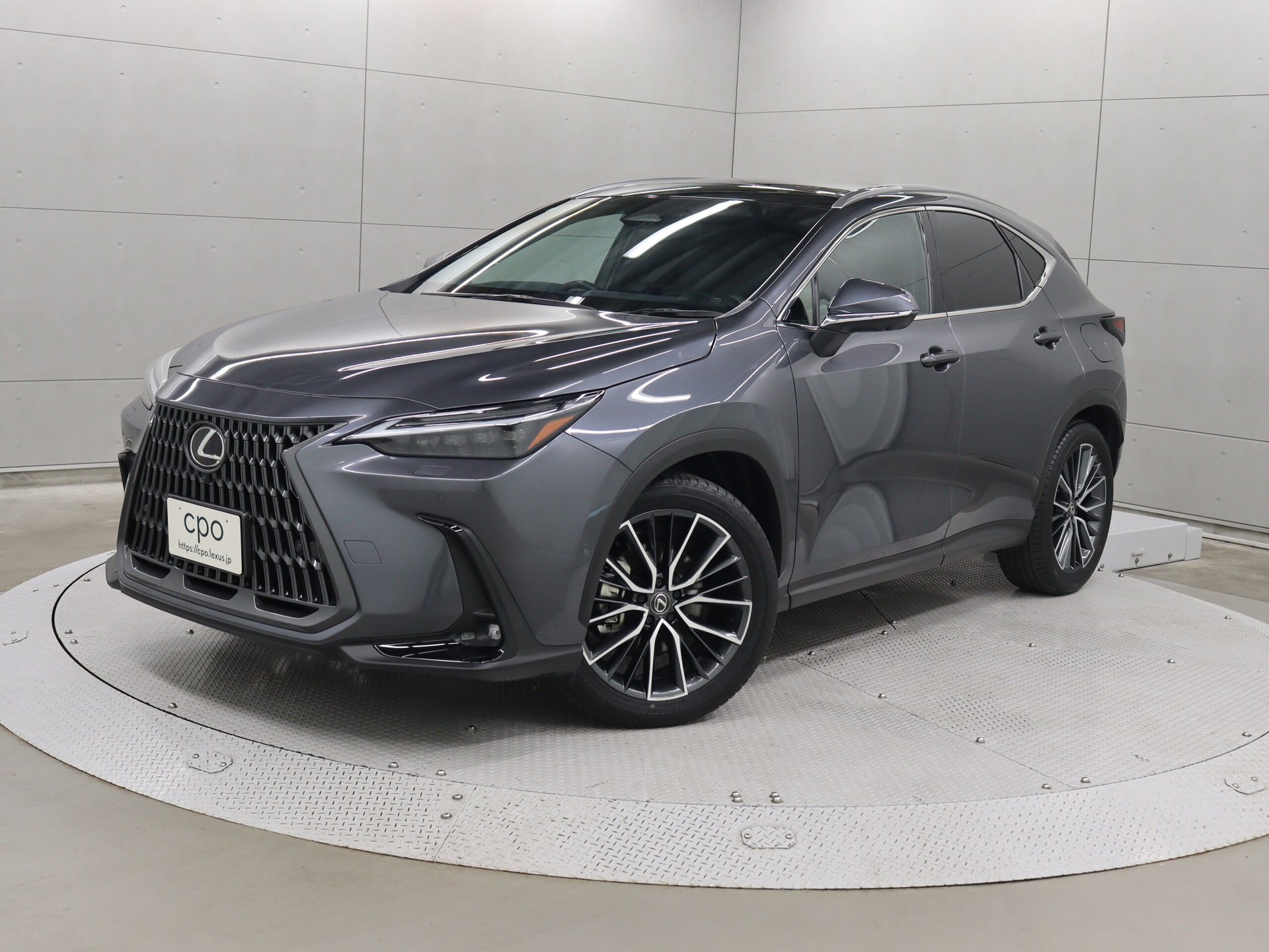 LEXUS NX - View 1