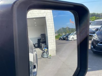 TOYOTA LAND CRUISER 250 - 4