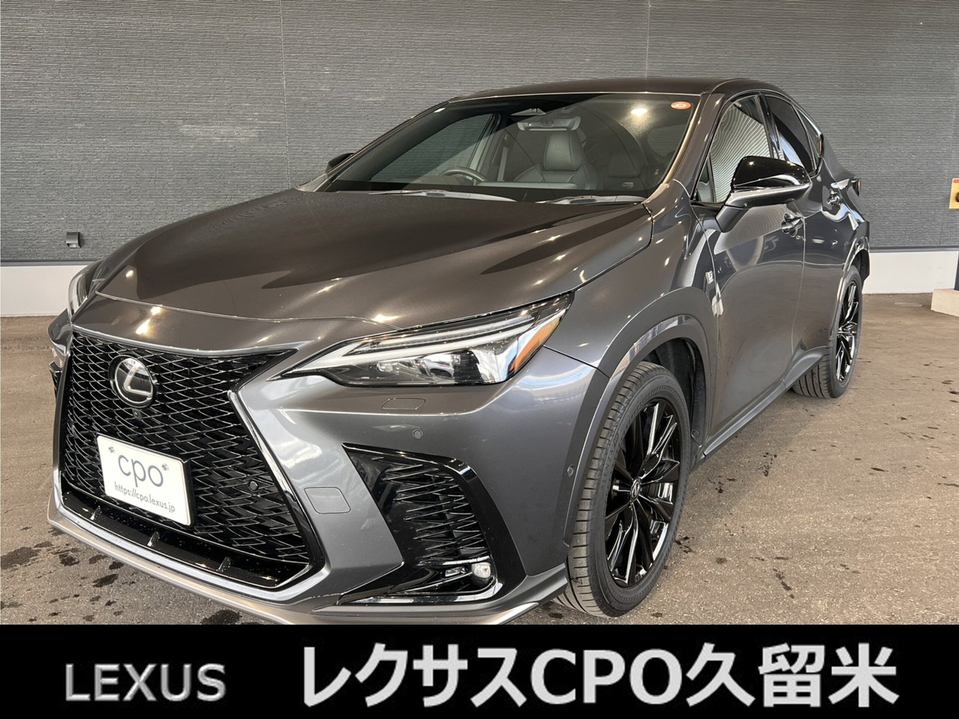 LEXUS NX - View 1