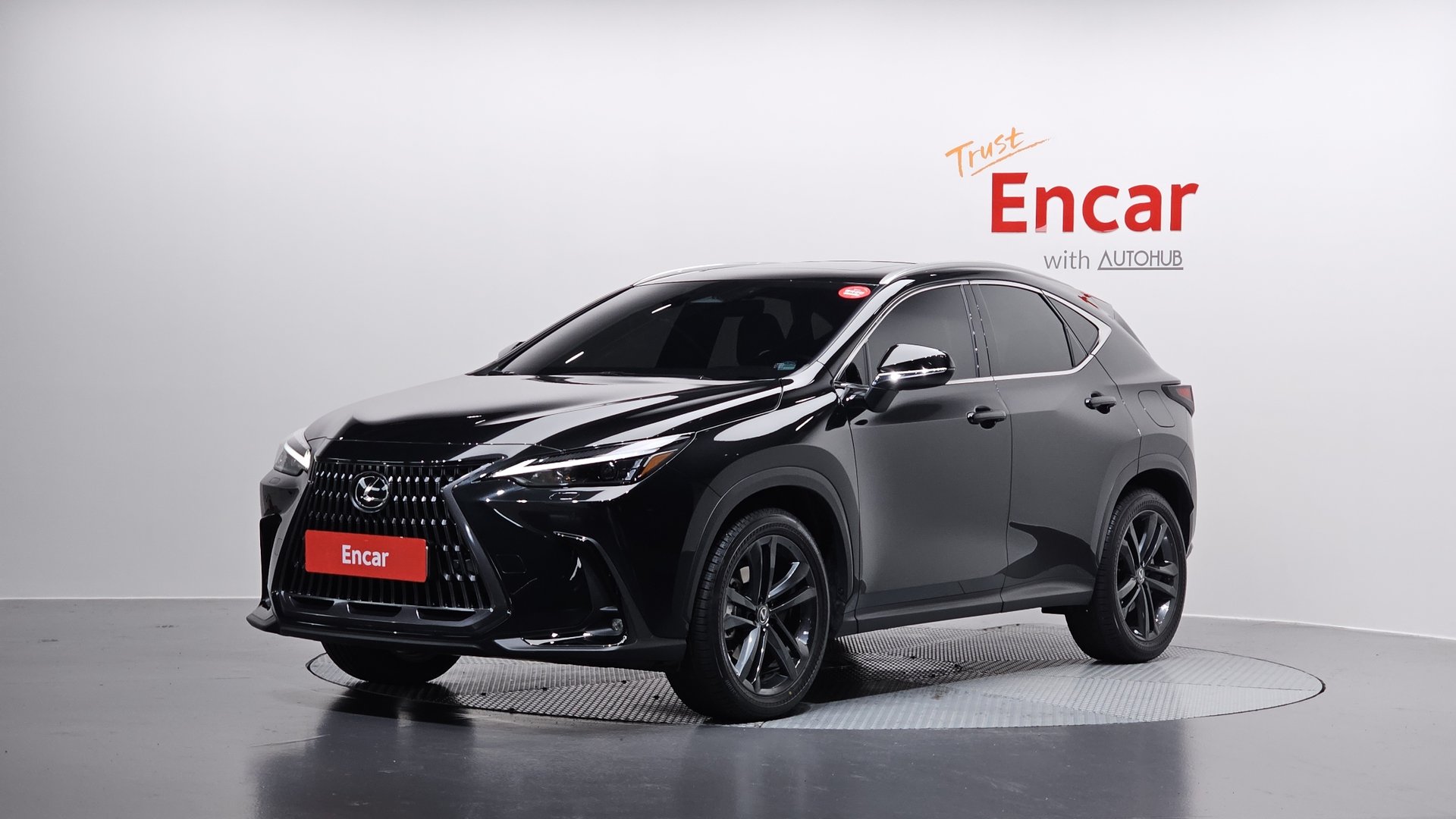 LEXUS NX - View 1