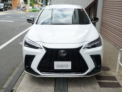 LEXUS NX - 6