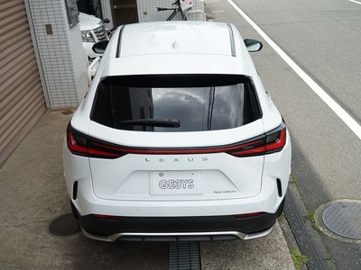 LEXUS NX - 10