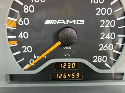 1996 Mercedes-BENZ OTHERS 缩略图 34