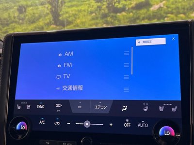 2023 Toyota ALPHARD thumbnail 65
