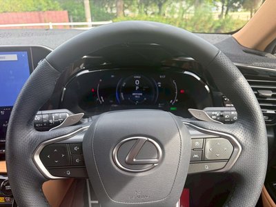 2025 Lexus NX — миниатюра 24