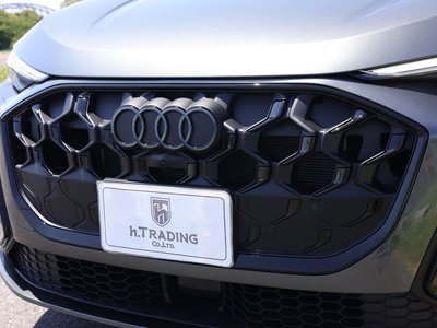 2025 AUDI SQ5 SPORTBACK 缩略图 31