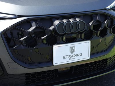 2025 AUDI SQ5 SPORTBACK 缩略图 27