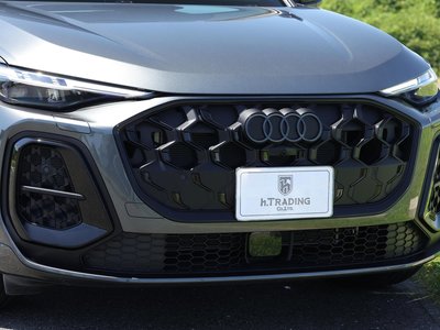 2025 AUDI SQ5 SPORTBACK 缩略图 26
