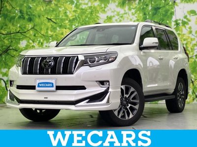TOYOTA LAND CRUISER - 1